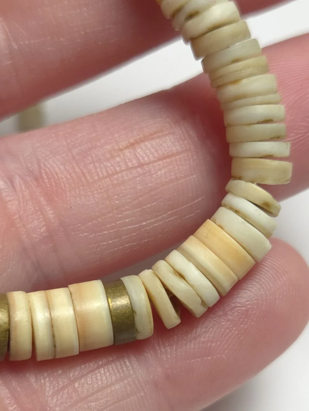 Vintage Puka Shell & Melon Shell with Gold Disk Beaded Necklace Santo Domingo